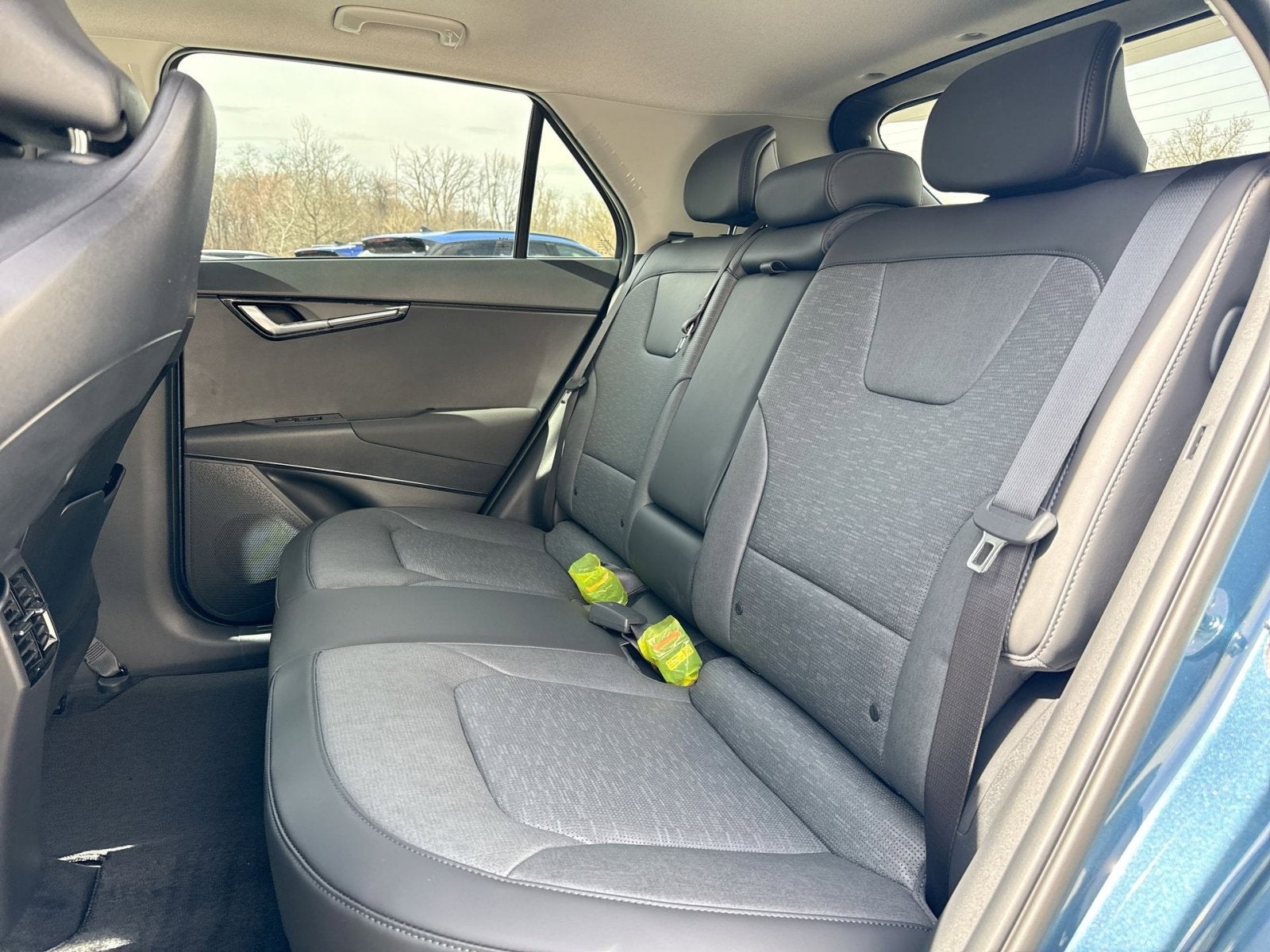 2025 Kia Niro EV Wave