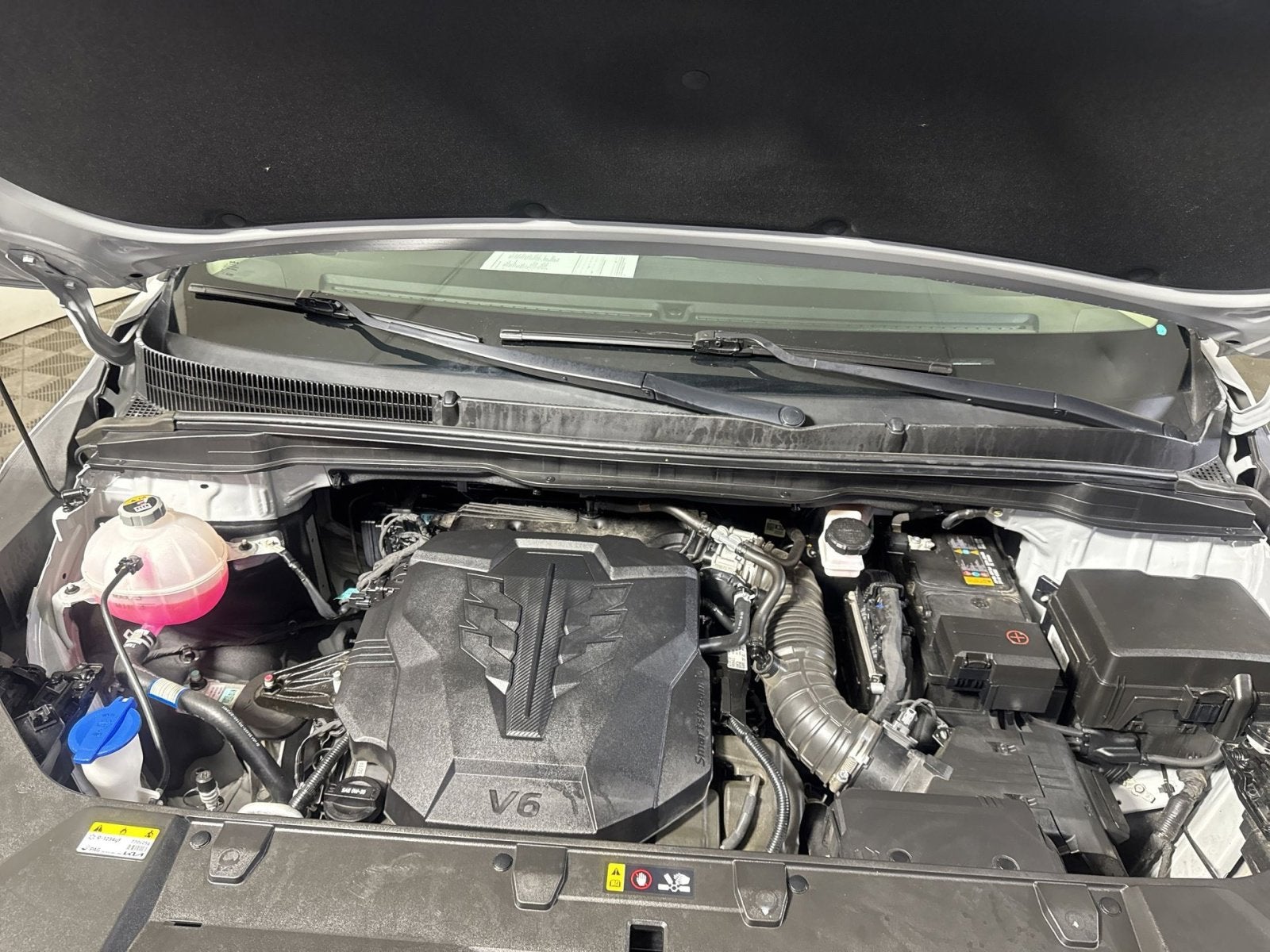 2024 Kia Carnival SX